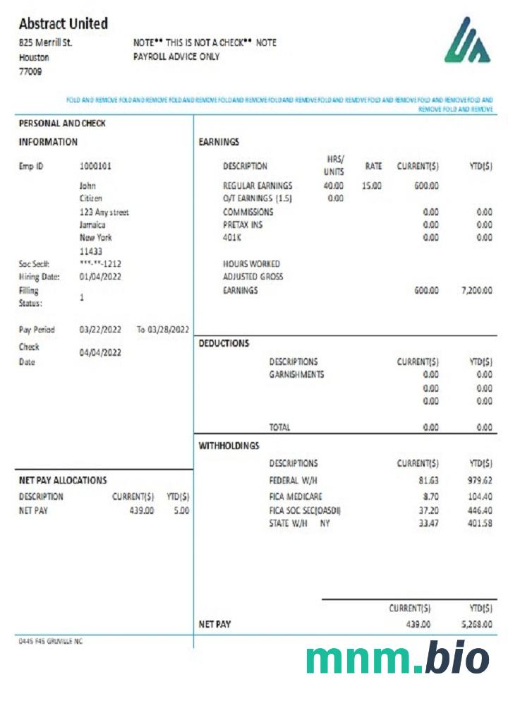 Usa New York Abstract United pay stub